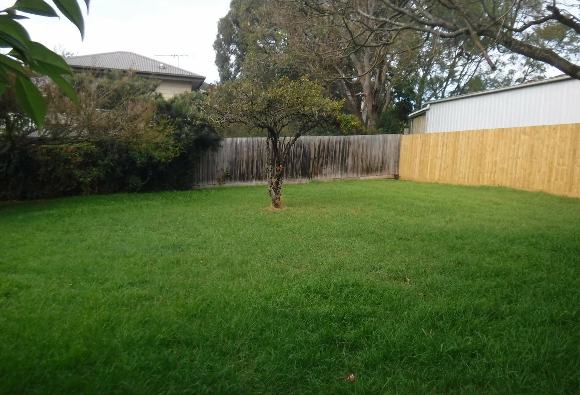 26A Albert Avenue Boronia VIC, Boronia - Thumbnail 7