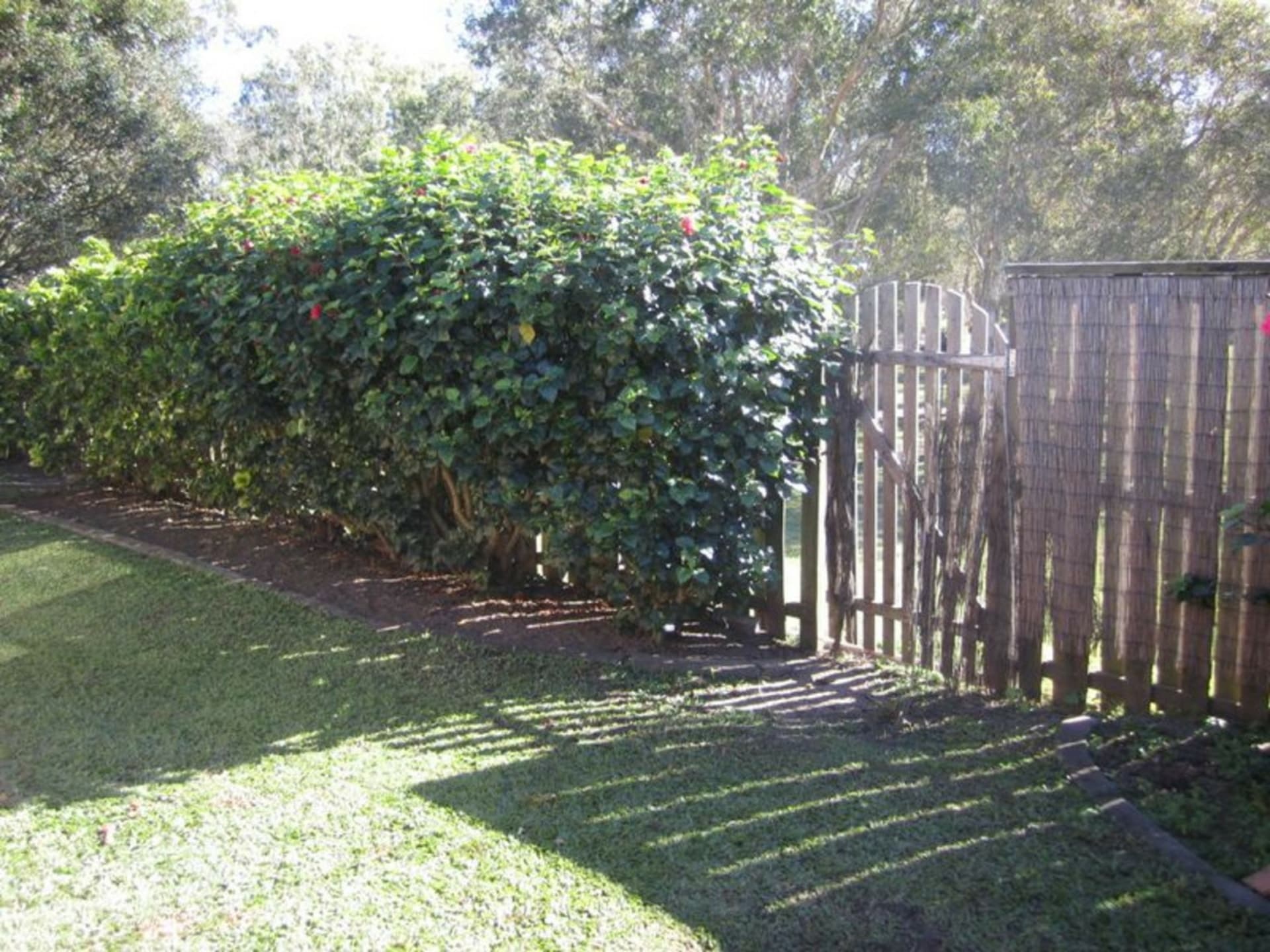 5 Canterbury Street Bracken Ridge QLD, Bracken Ridge - Thumbnail 6