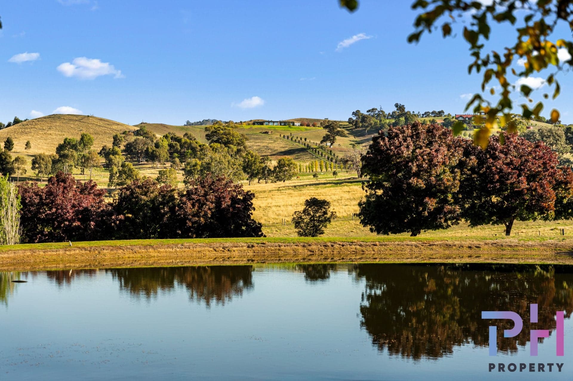941 North Harcourt Road Sedgwick VIC, Sedgwick - Thumbnail 4