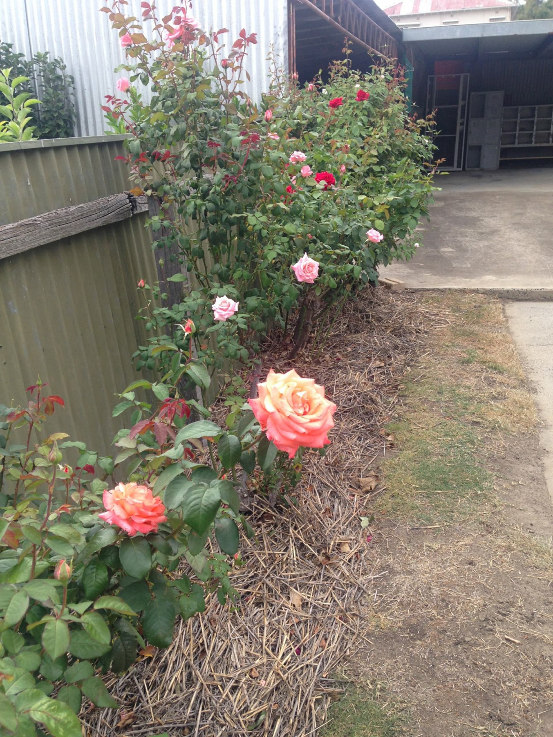 54B Gavan Street Broadford VIC, Broadford - Image 1