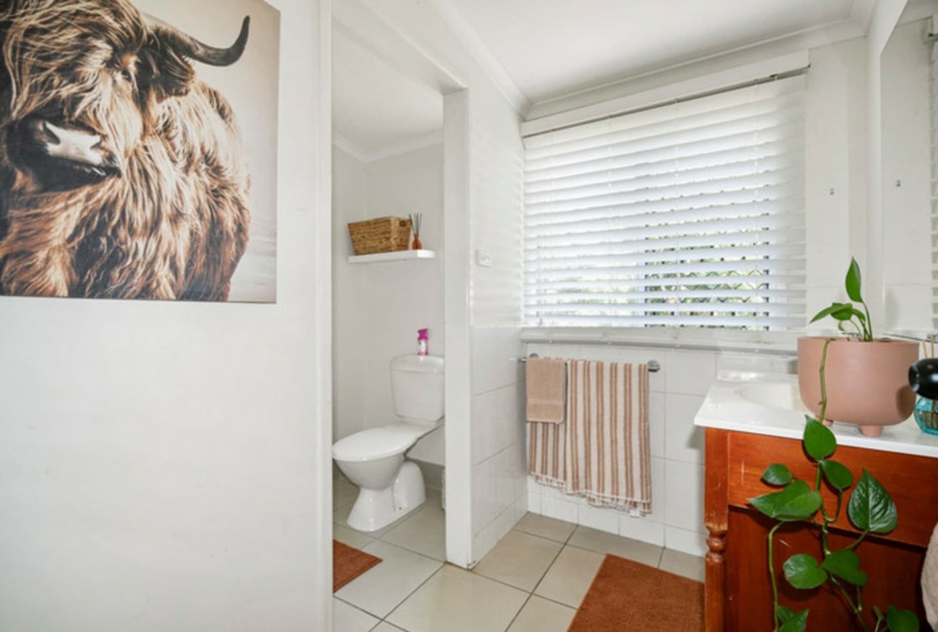 9 Normanby Street Bundaberg South QLD, Bundaberg South - Thumbnail 5