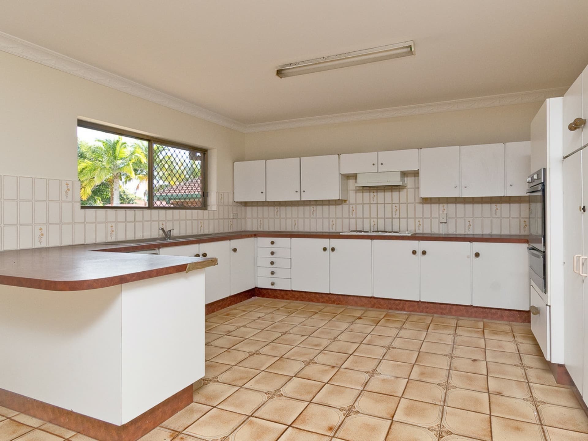 53 Whitehorse Street Carseldine QLD, Carseldine - Thumbnail 6
