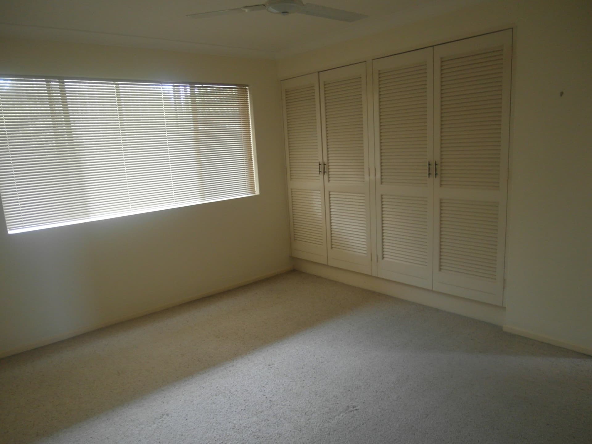 5/65 Bellevue Terrace Clayfield QLD, Clayfield - Thumbnail 5