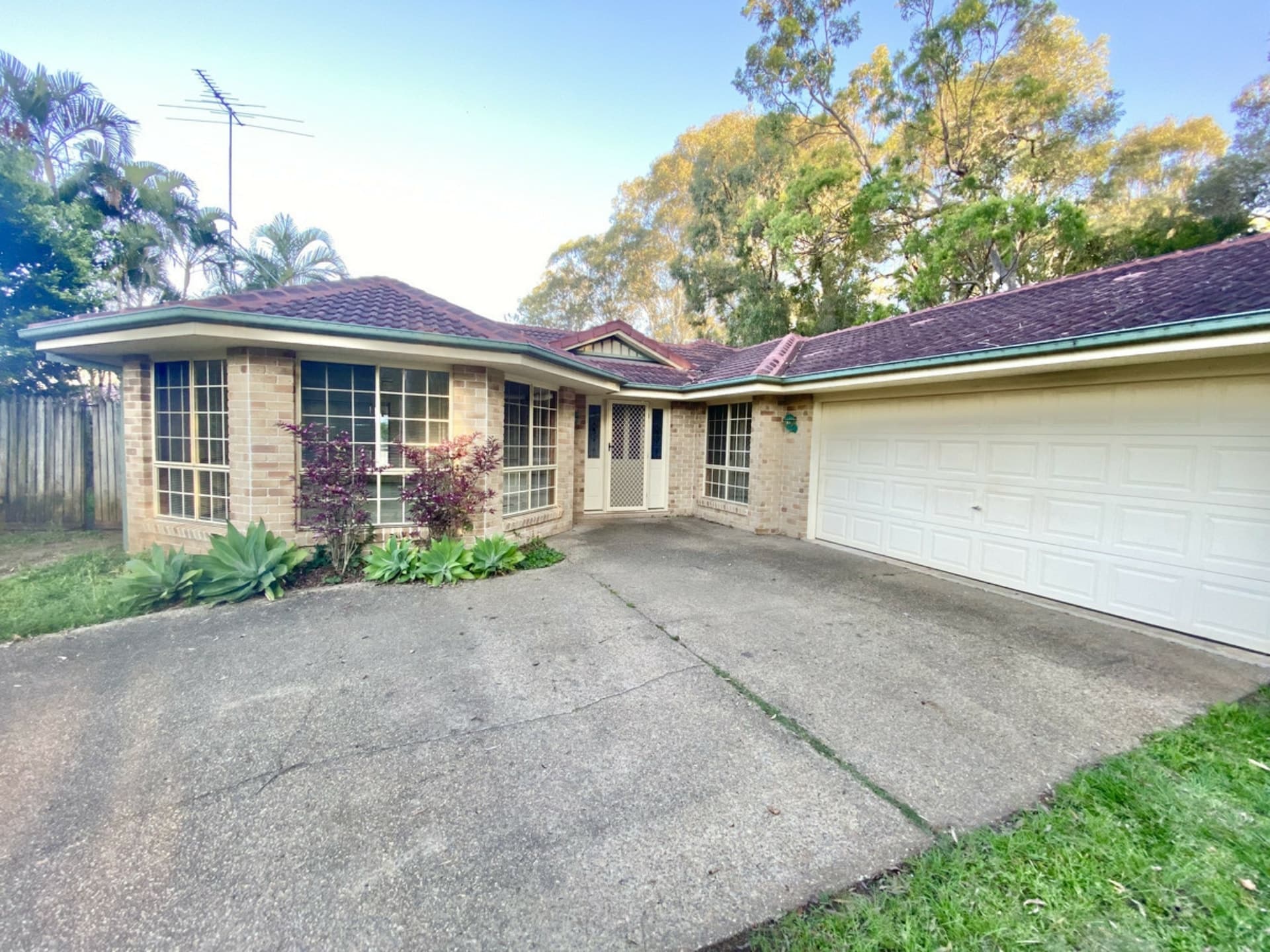 1 Woodrow Place Cleveland QLD, Cleveland - Thumbnail 2