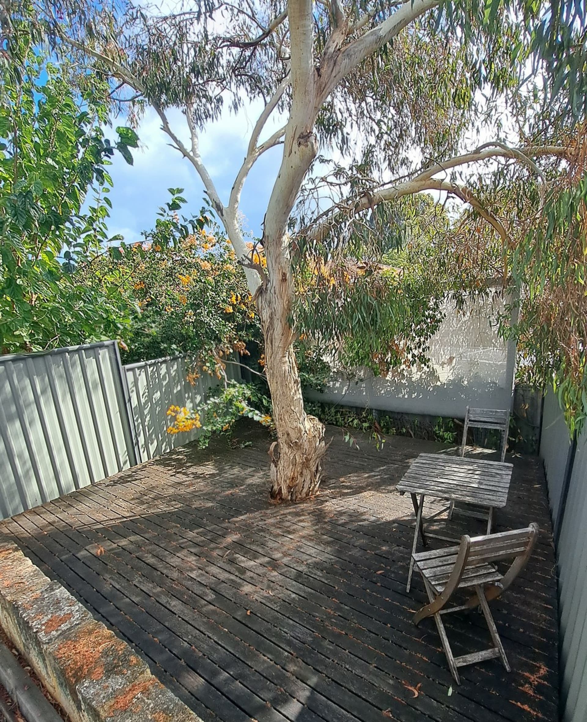 45b Troy Terrace Daglish WA, Daglish - Thumbnail 2