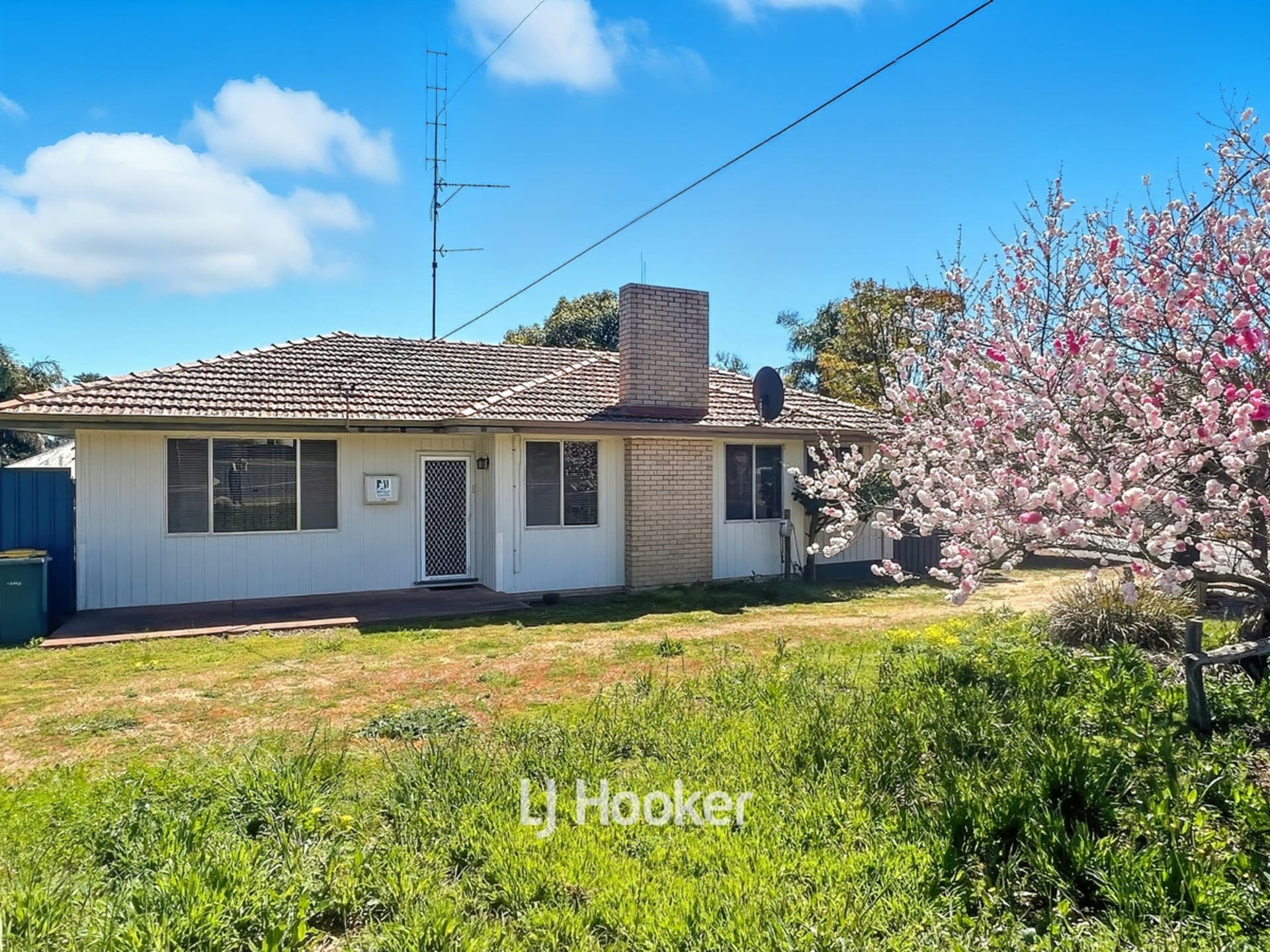48 Hillman Street Darkan WA, Darkan - Image 1