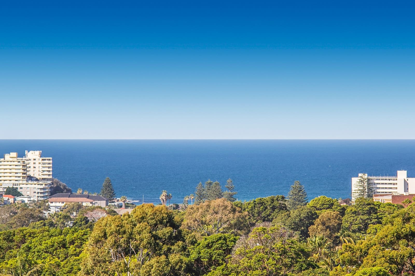 26 McDonald Street, Freshwater, Freshwater - Thumbnail 2