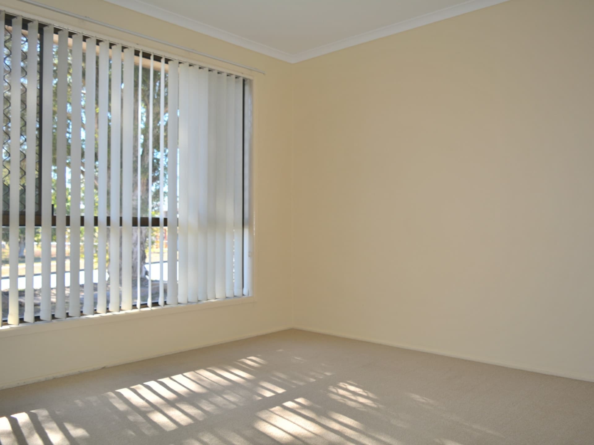 20 Smart Drive Darling Heights QLD, Darling Heights - Thumbnail 6