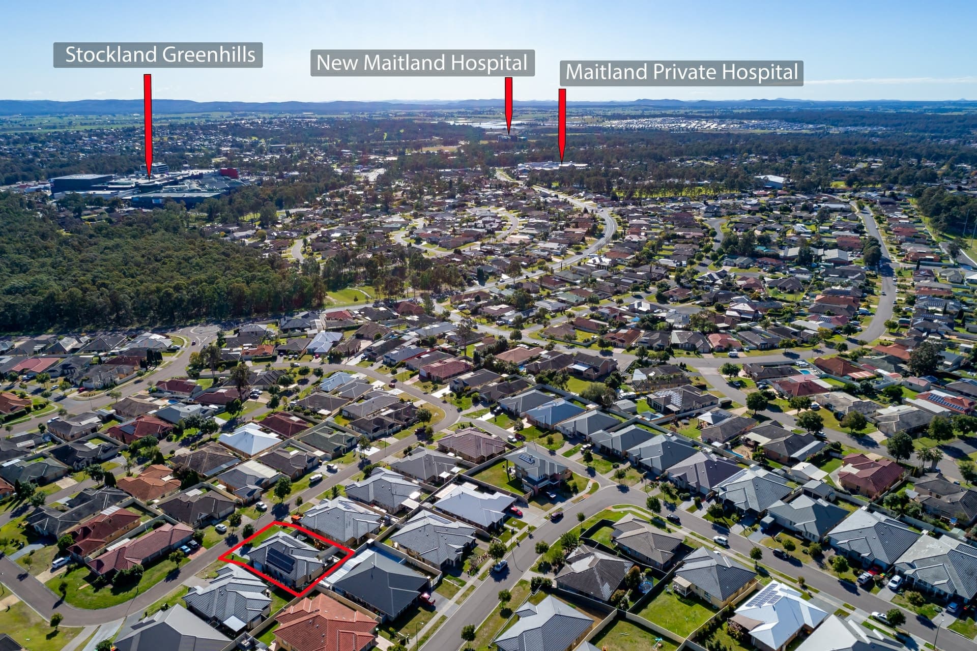 31 Carnarvon Circuit East Maitland NSW, East Maitland - Image 1