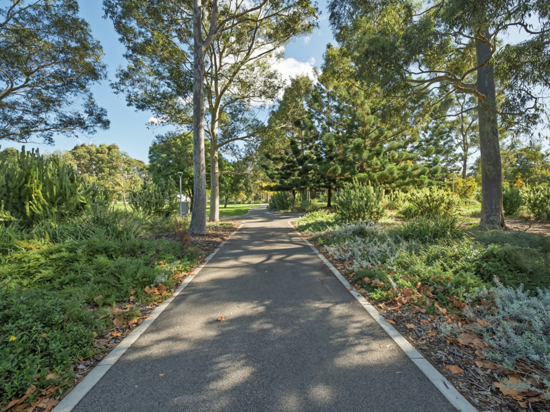 2/178 Bennett Street East Perth WA, East Perth - Image 1