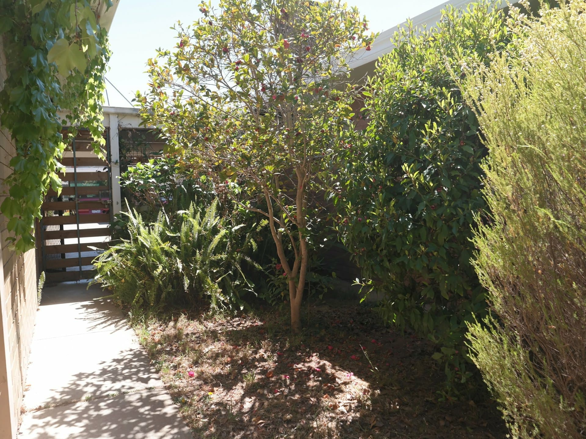 2/63 Hare Street Echuca VIC, Echuca - Thumbnail 7