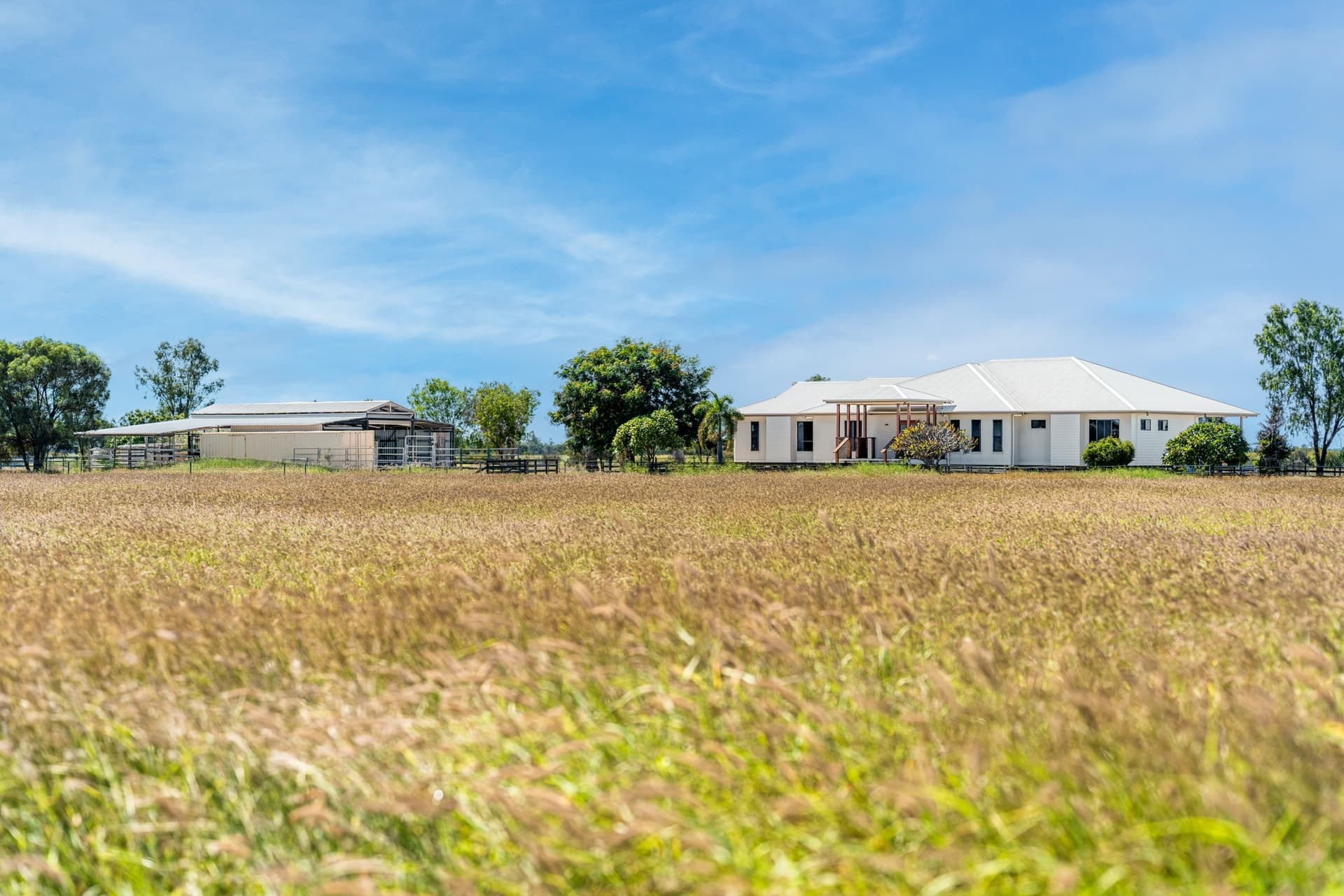 30 Edgewood Drive Emerald QLD, Emerald - Thumbnail 4