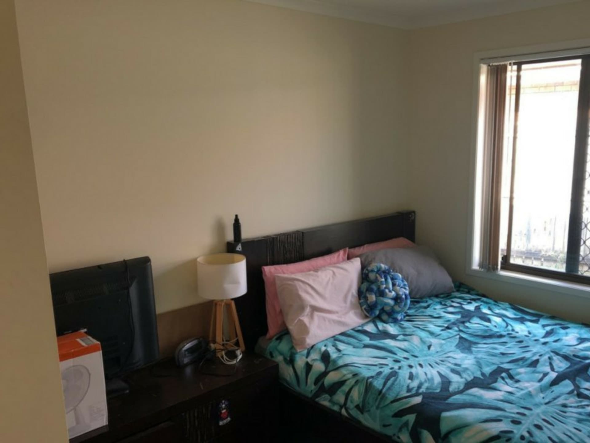 8 Applegum Place Fitzgibbon QLD, Fitzgibbon - Thumbnail 6