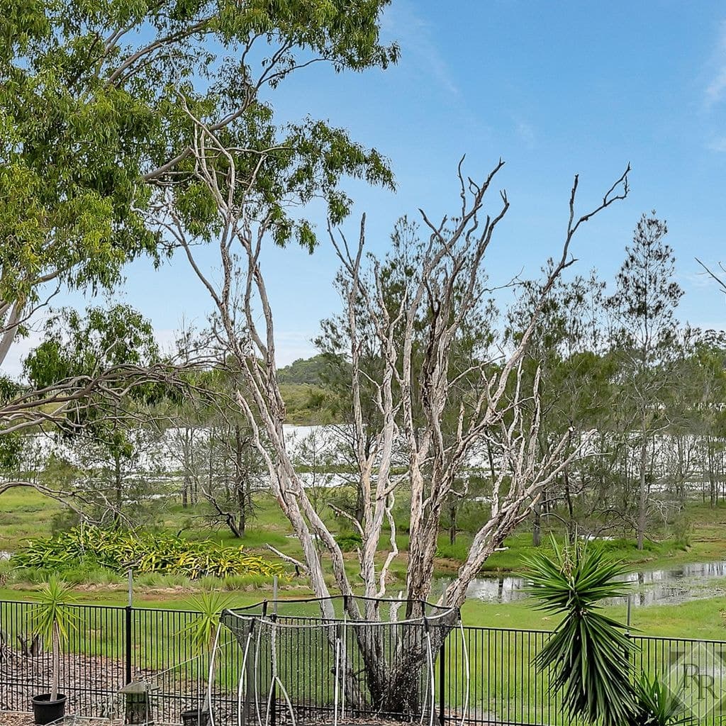 73 Ferry Road, THORNESIDE QLD 4158, Thorneside - Thumbnail 8