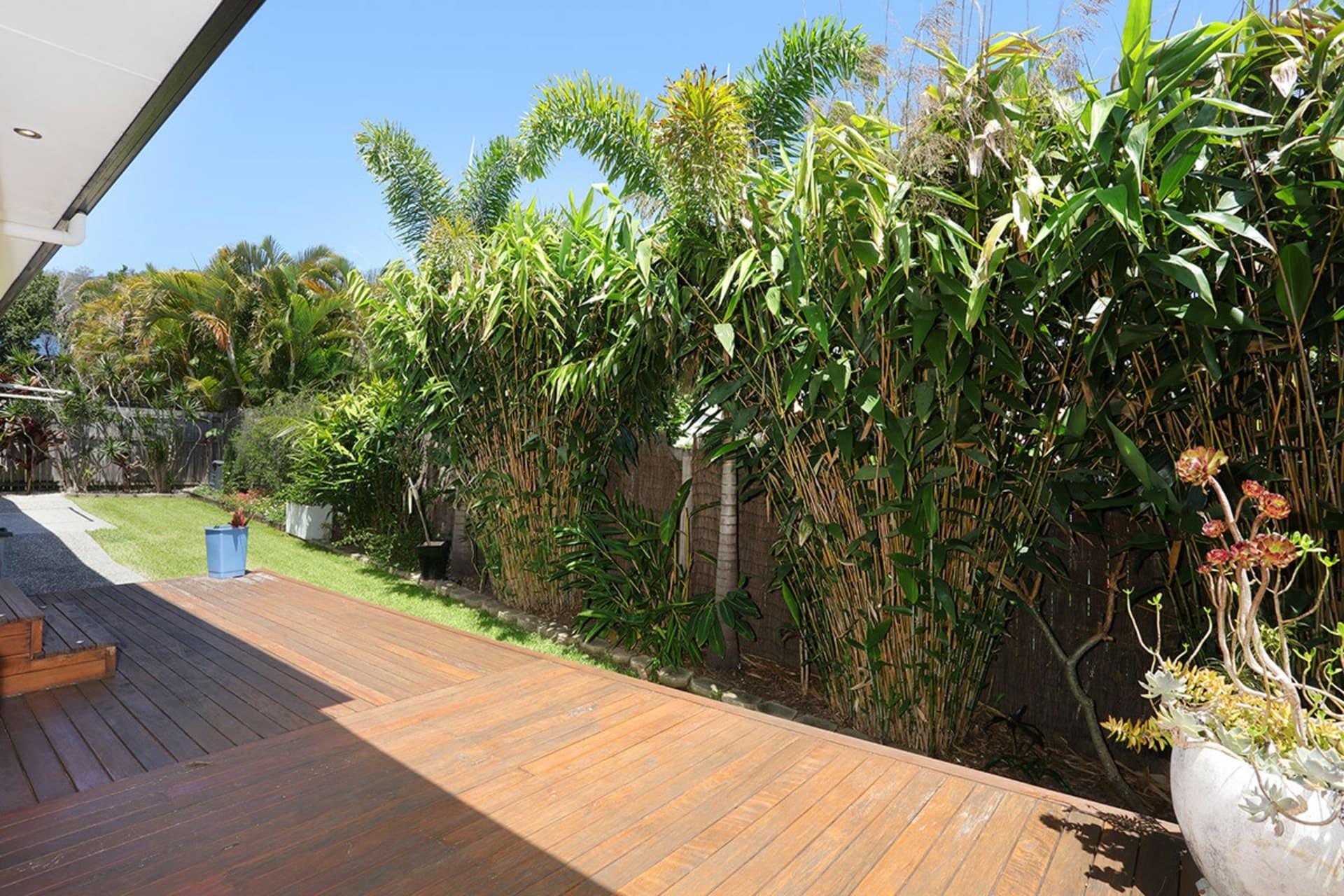 6 Parrott Court Gilston qld, Gilston - Image 1