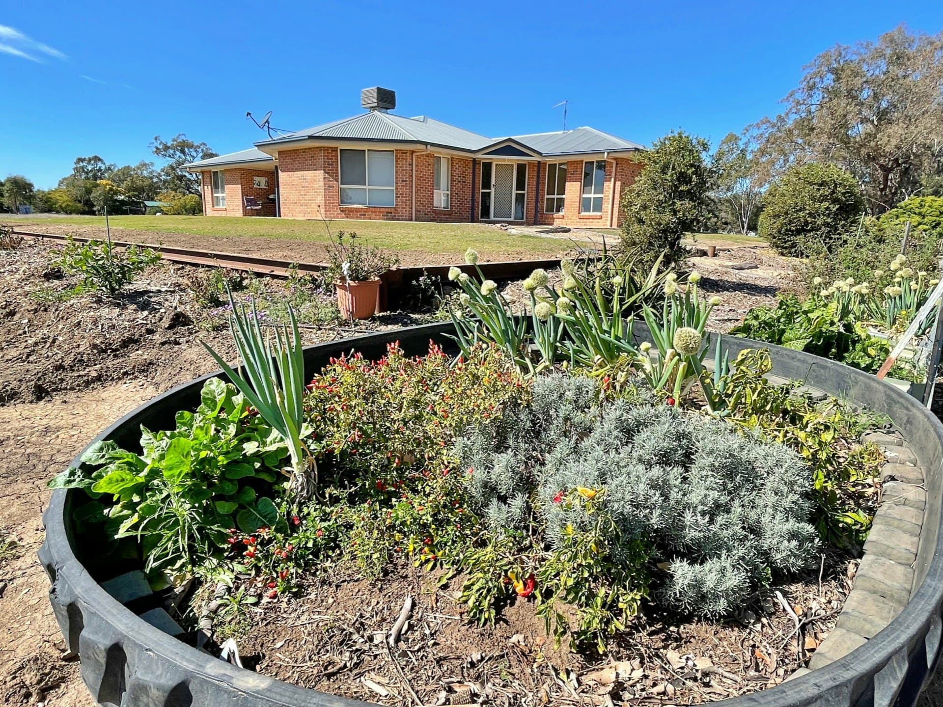 54 Ash Road Goondiwindi QLD, Goondiwindi - Thumbnail 2