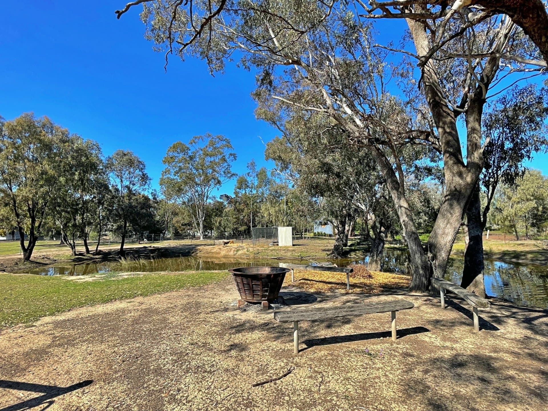 54 Ash Road Goondiwindi QLD, Goondiwindi - Thumbnail 4