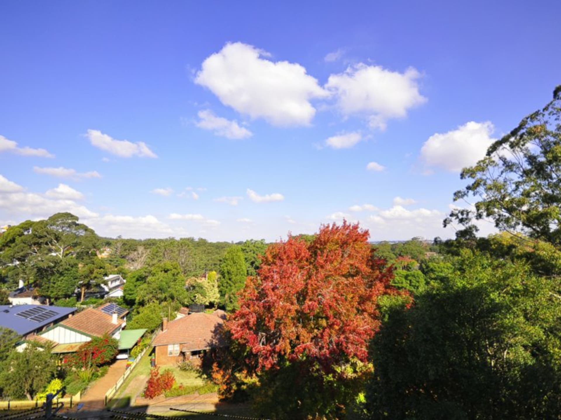 A411/17-23 Merriwa Street, Gordon, Gordon - Thumbnail 8