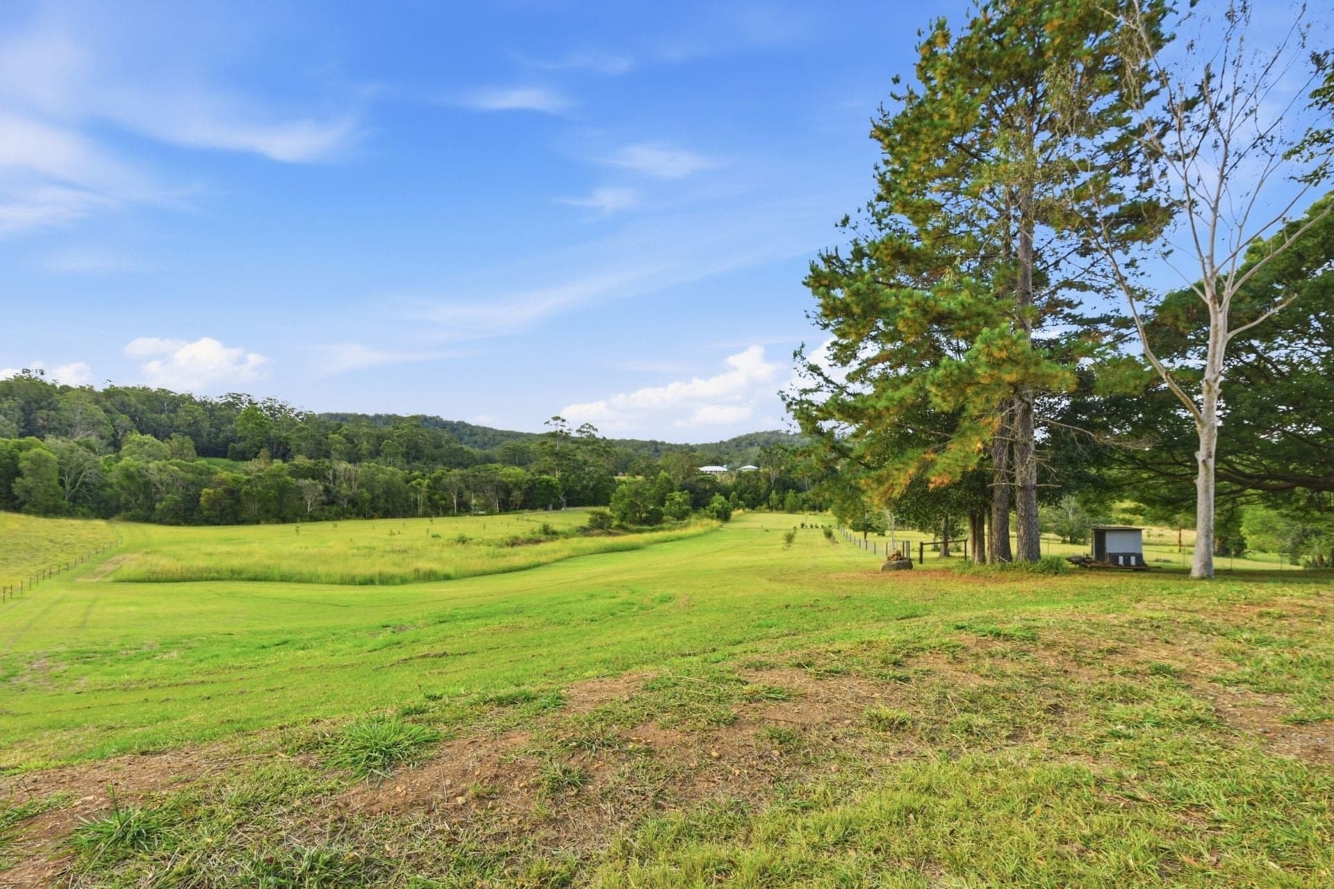 342 Deep Creek Road Hannam Vale NSW, Hannam Vale - Thumbnail 6