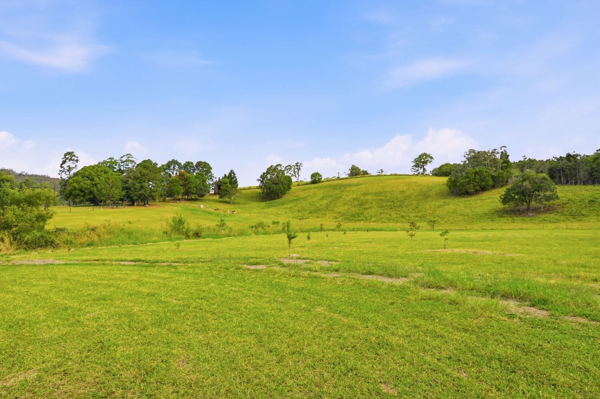 342 Deep Creek Road Hannam Vale NSW, Hannam Vale - Thumbnail 7