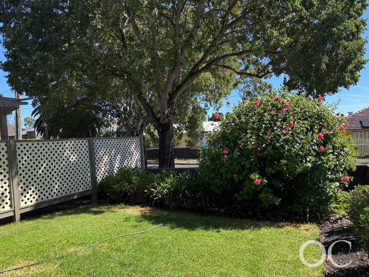 35 Finlayson Street, Netherby - Thumbnail 6