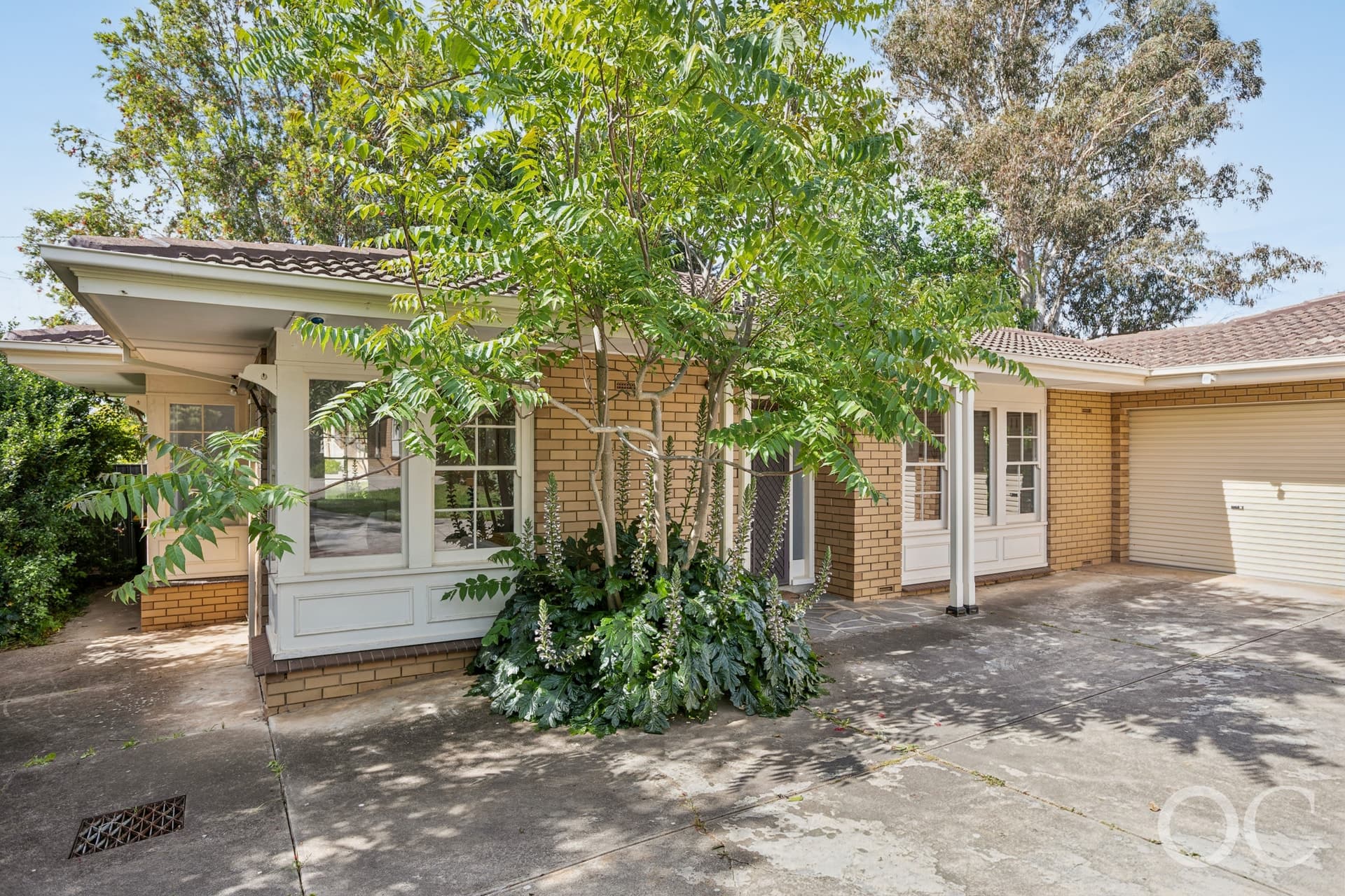 4/8 Montrose Avenue, Netherby - Image 1