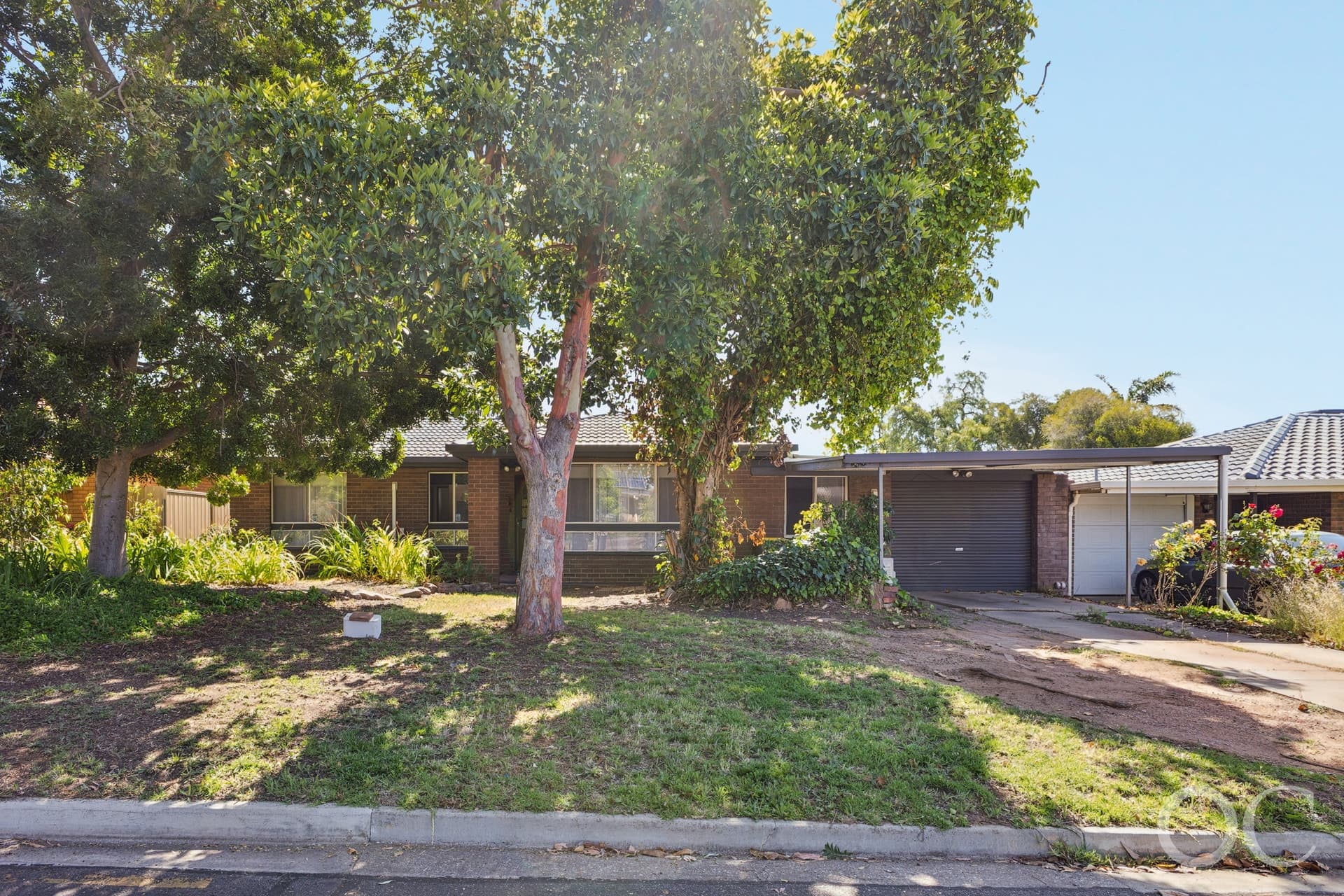 19 Freeman Avenue, Morphett Vale - Thumbnail 3