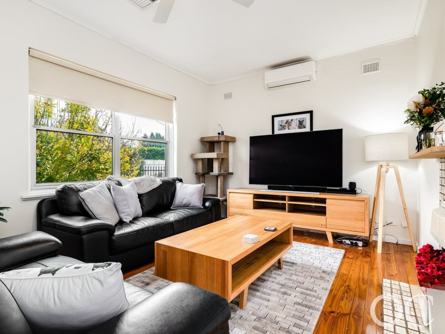 10 Gladys Street, Clarence Gardens - Thumbnail 5