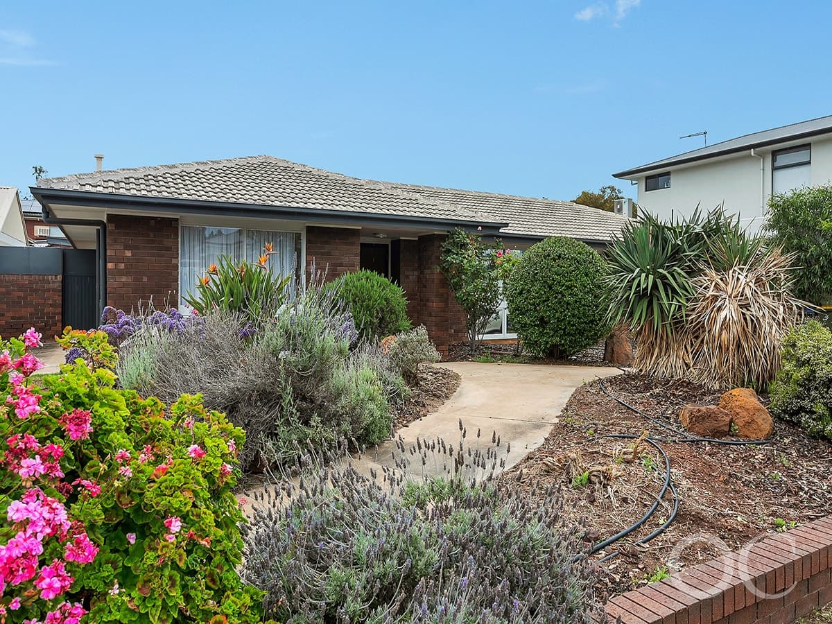 14 Parkview Avenue, Grange - Image 1