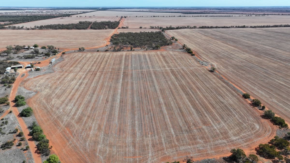 489 Dumossa Road, GOOLGOWI, Goolgowi - Thumbnail 2