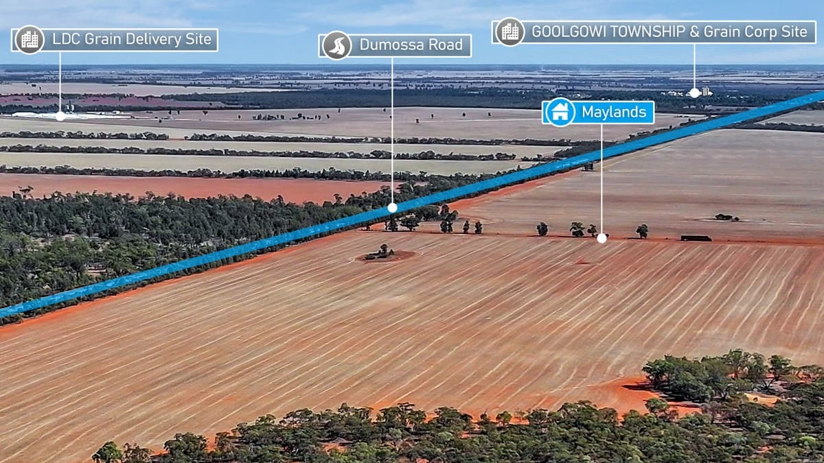 489 Dumossa Road, GOOLGOWI, Goolgowi - Thumbnail 4