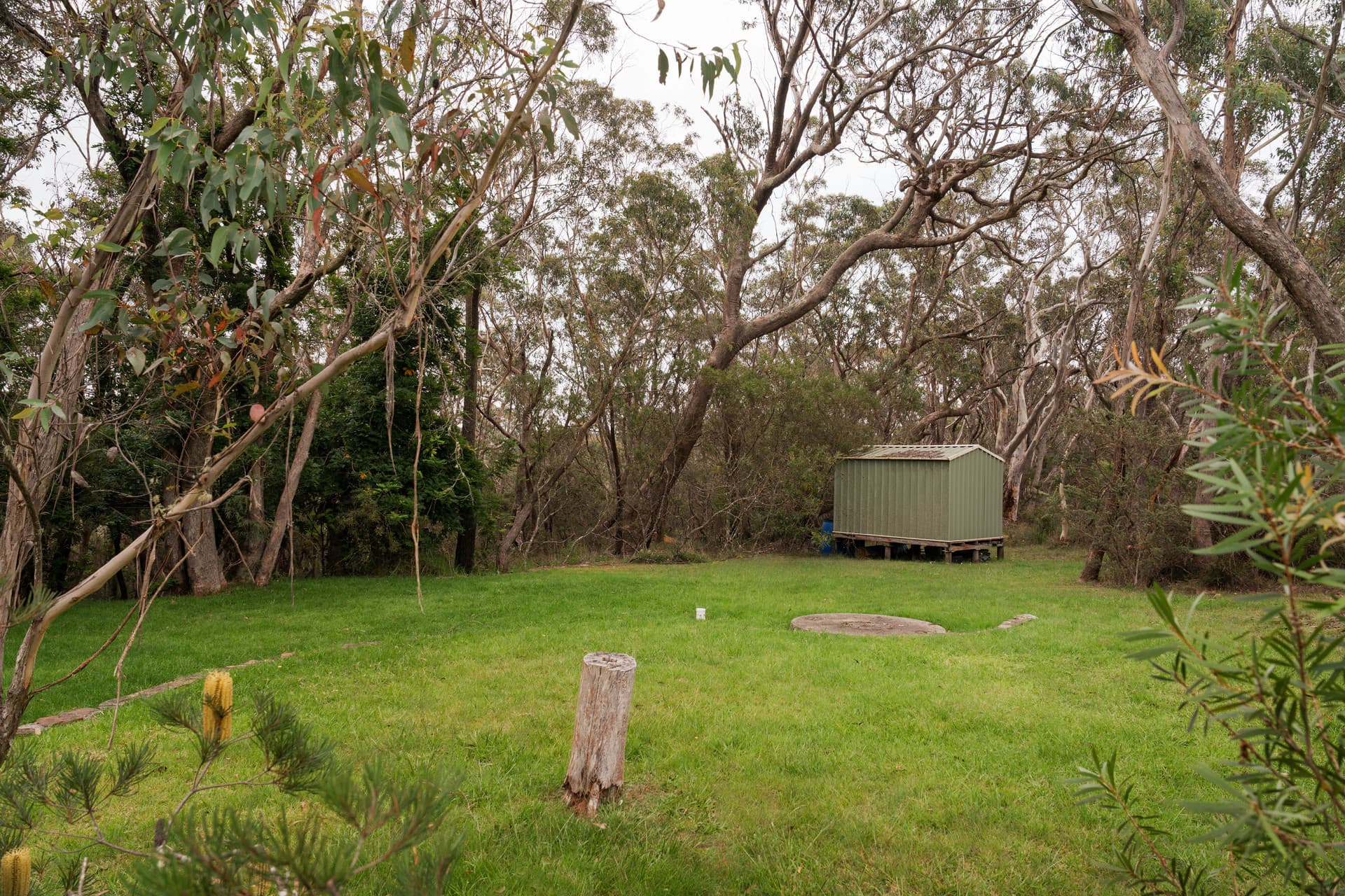 80 First Avenue, Katoomba - Thumbnail 7