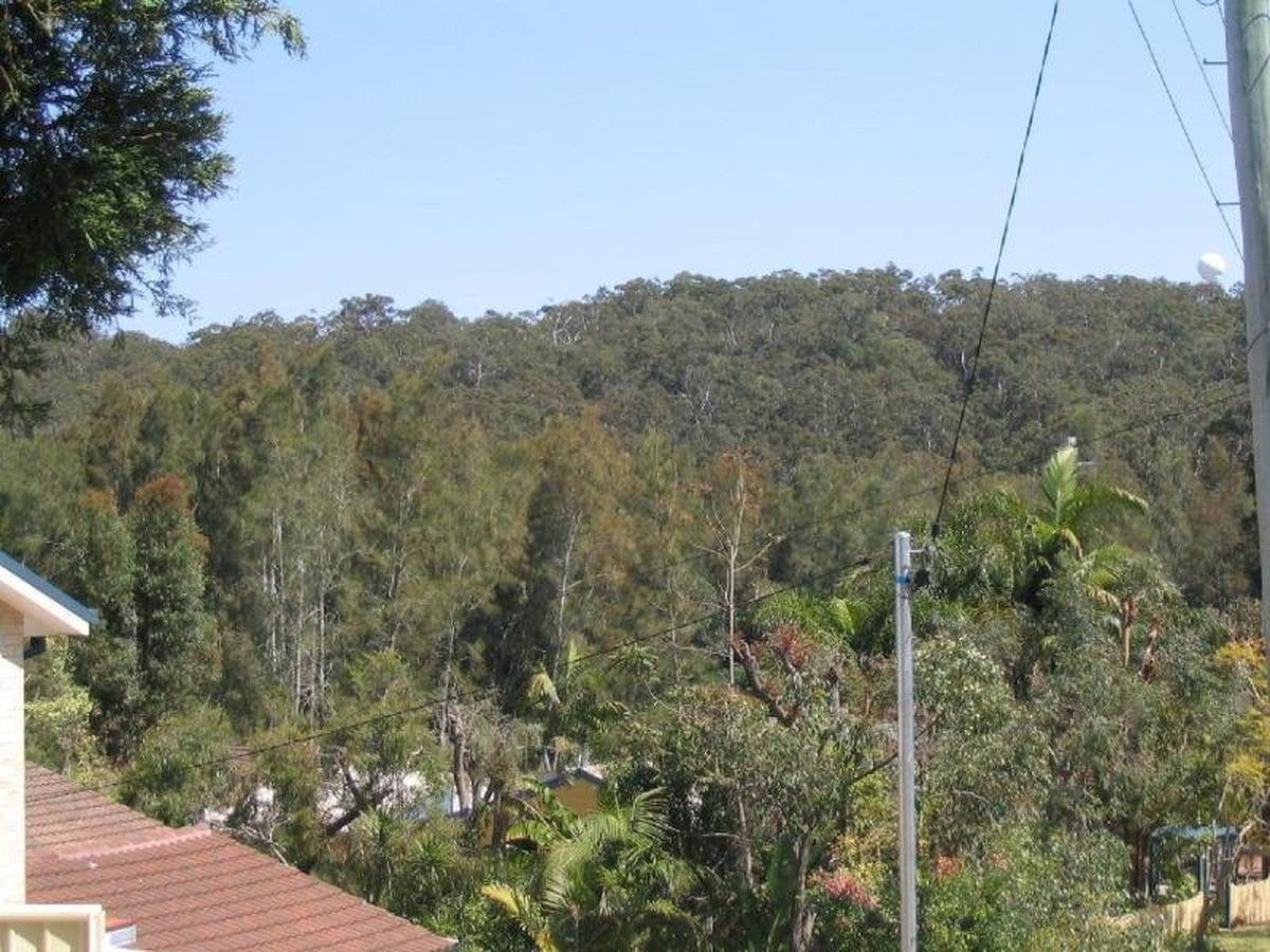 1 Purcell Ave, Lemon Tree Passage, Lemon Tree Passage - Thumbnail 8