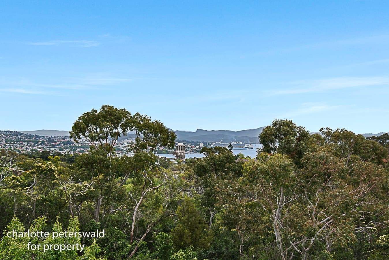 7 Sunvale Avenue, Sandy Bay TAS 7005, Sandy Bay - Thumbnail 5