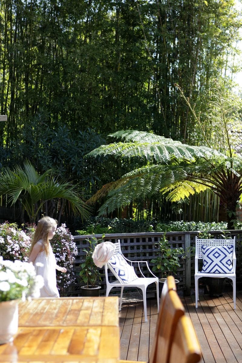 37 Ernest Street, Balgowlah Heights - Thumbnail 8