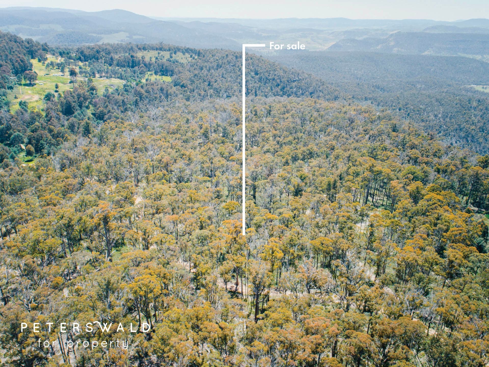 Lot 3 Basils Road, Pelham TAS 7030, Pelham - Thumbnail 2