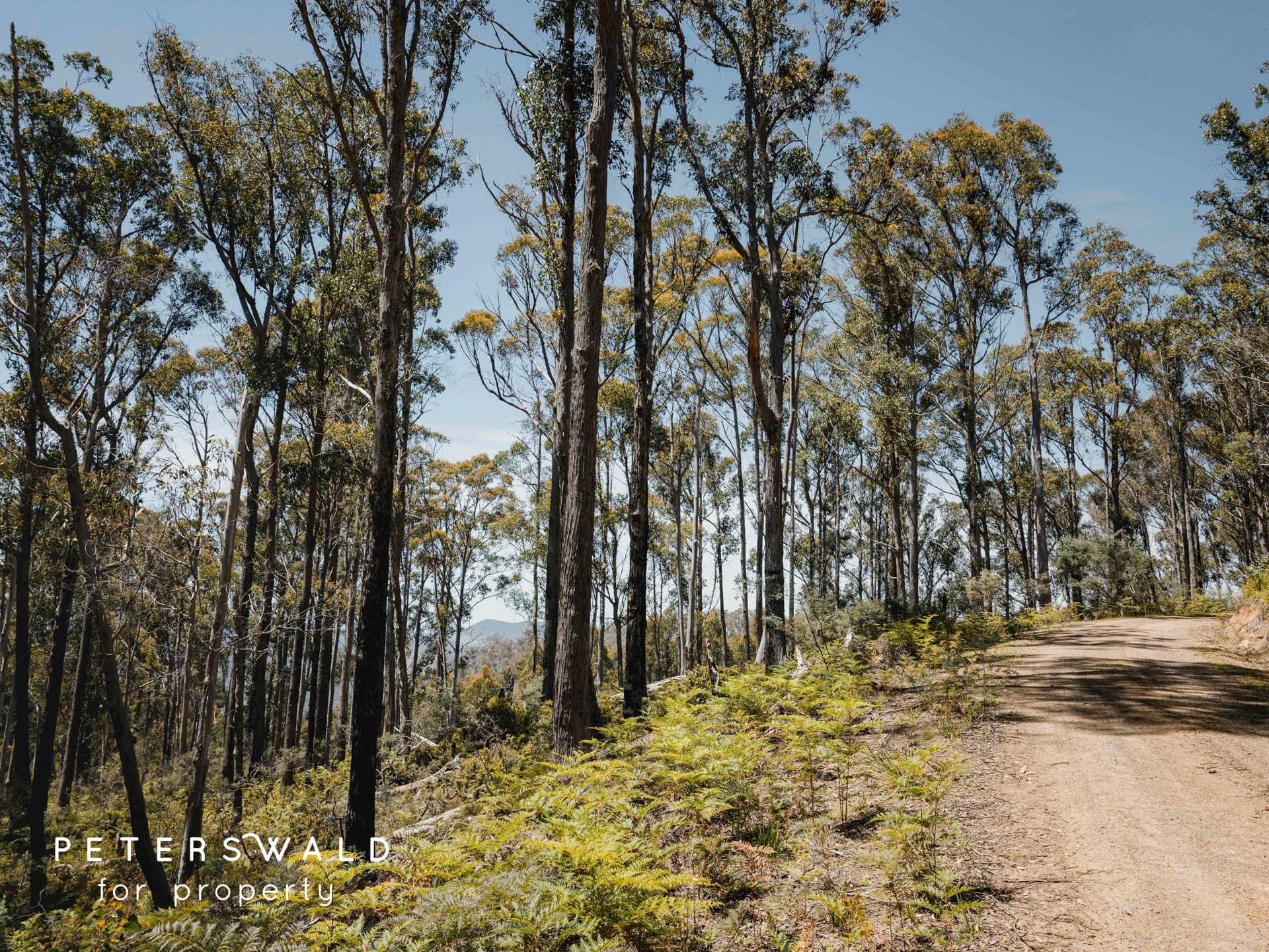 Lot 3 Basils Road, Pelham TAS 7030, Pelham - Thumbnail 3