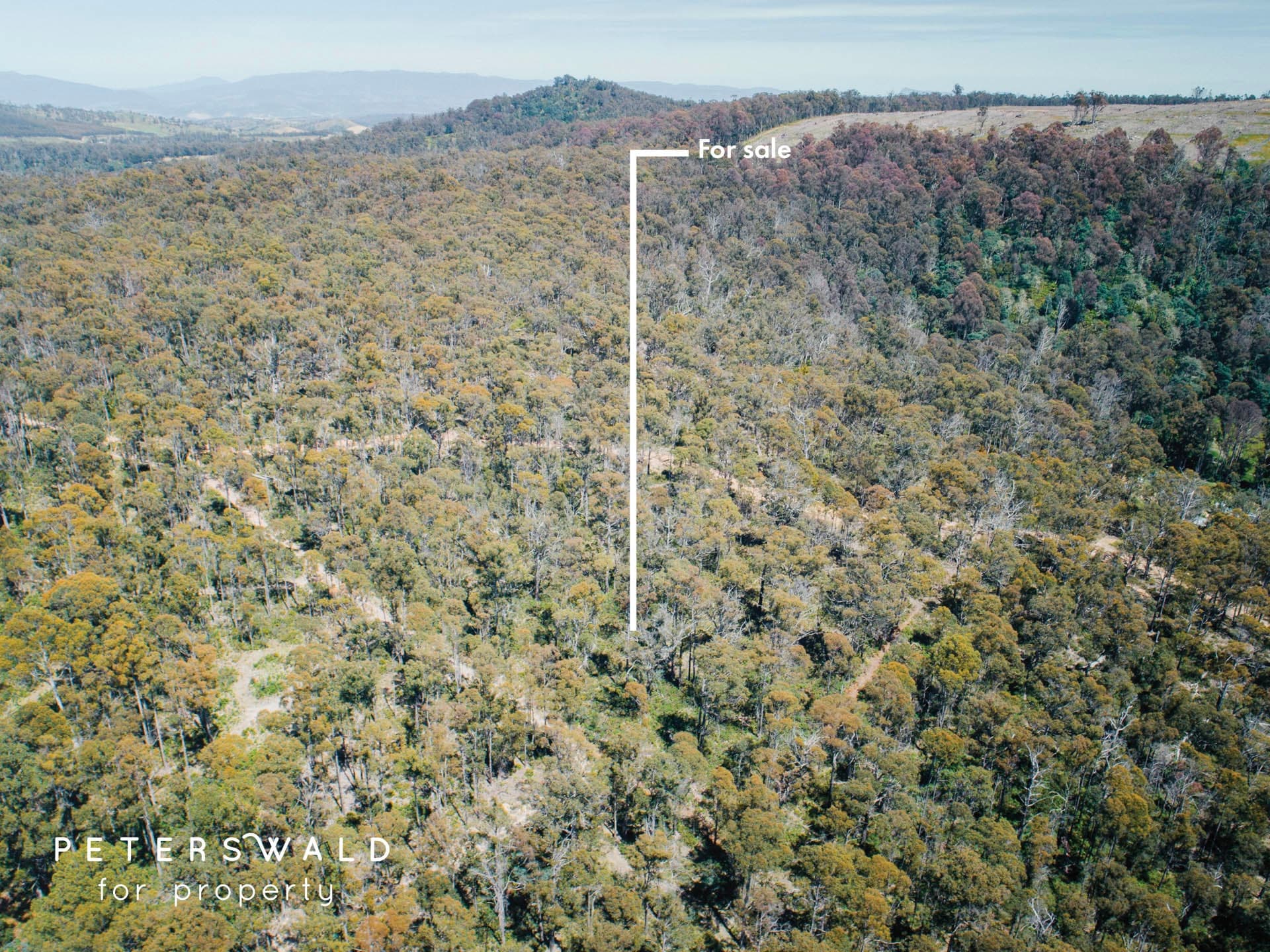 Lot 3 Basils Road, Pelham TAS 7030, Pelham - Thumbnail 4
