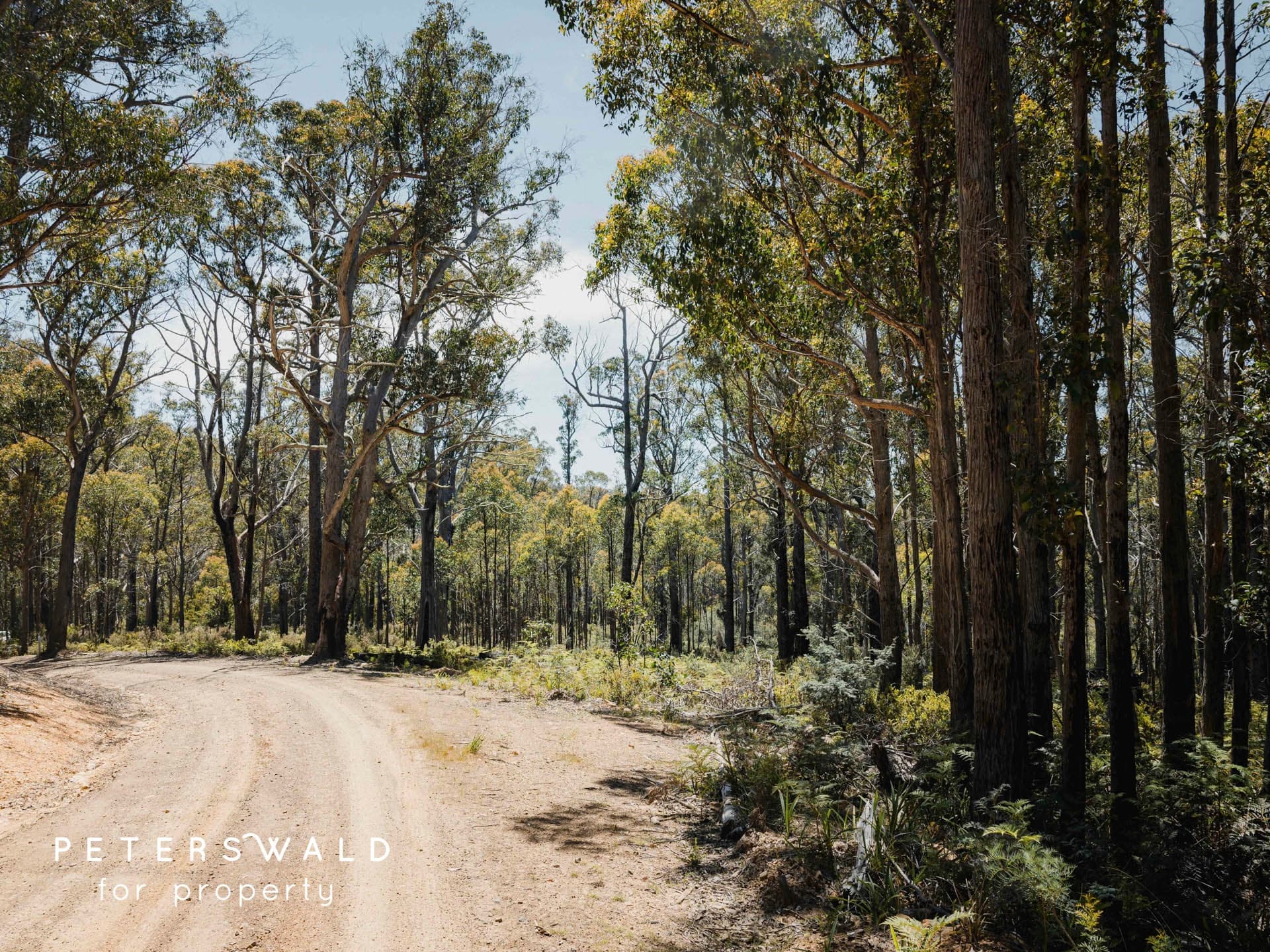 Lot 3 Basils Road, Pelham TAS 7030, Pelham - Thumbnail 5
