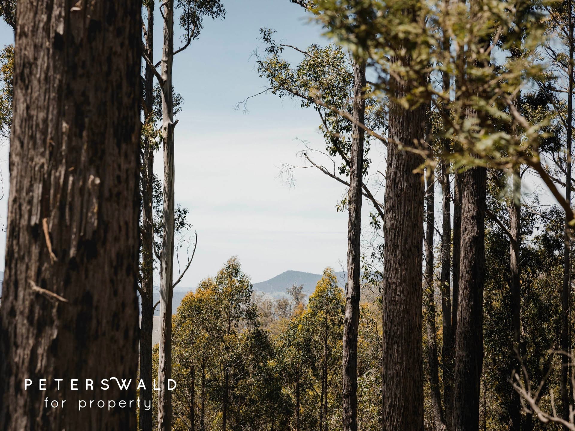 Lot 3 Basils Road, Pelham TAS 7030, Pelham - Thumbnail 6