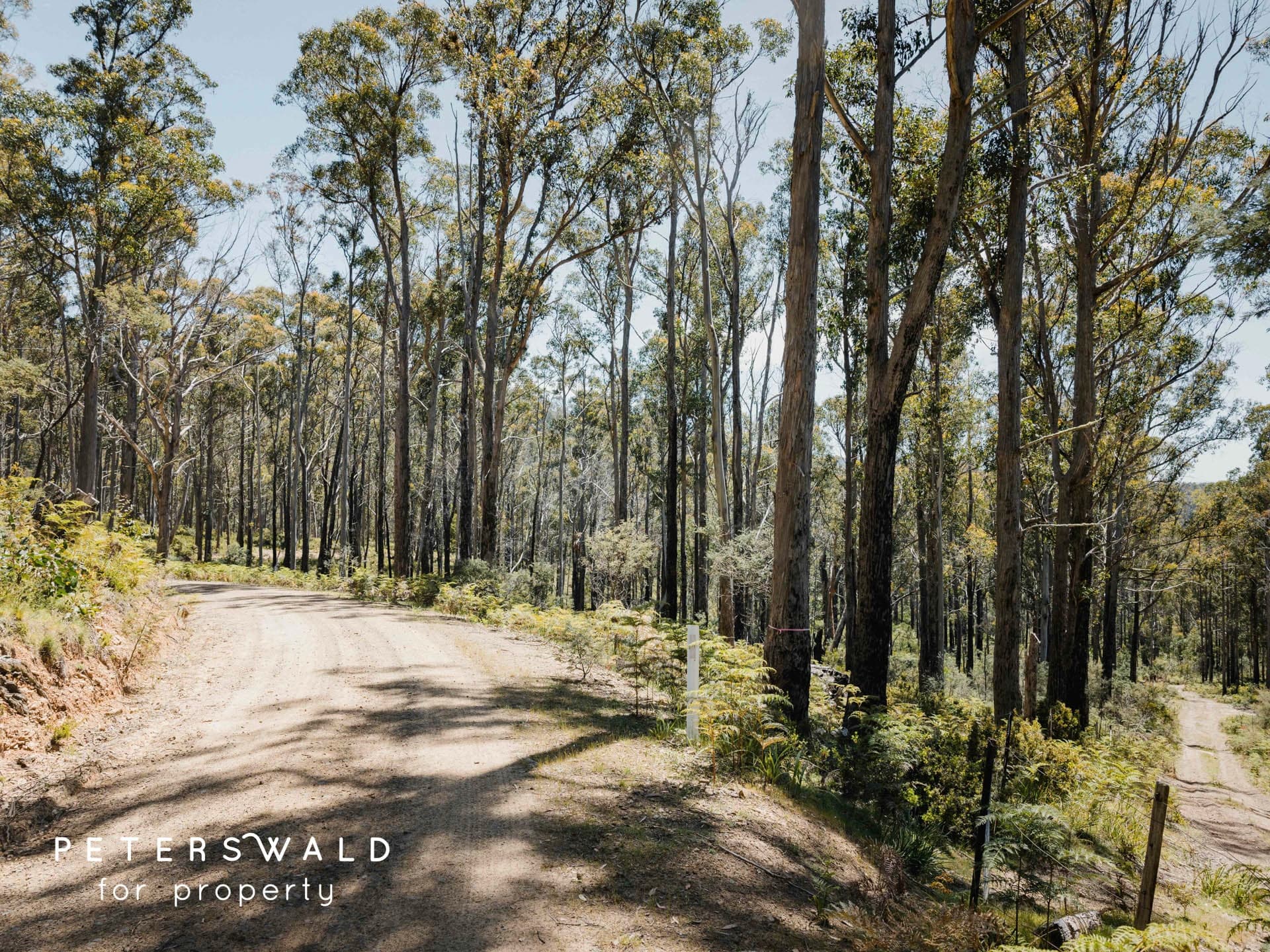 Lot 3 Basils Road, Pelham TAS 7030, Pelham - Thumbnail 8