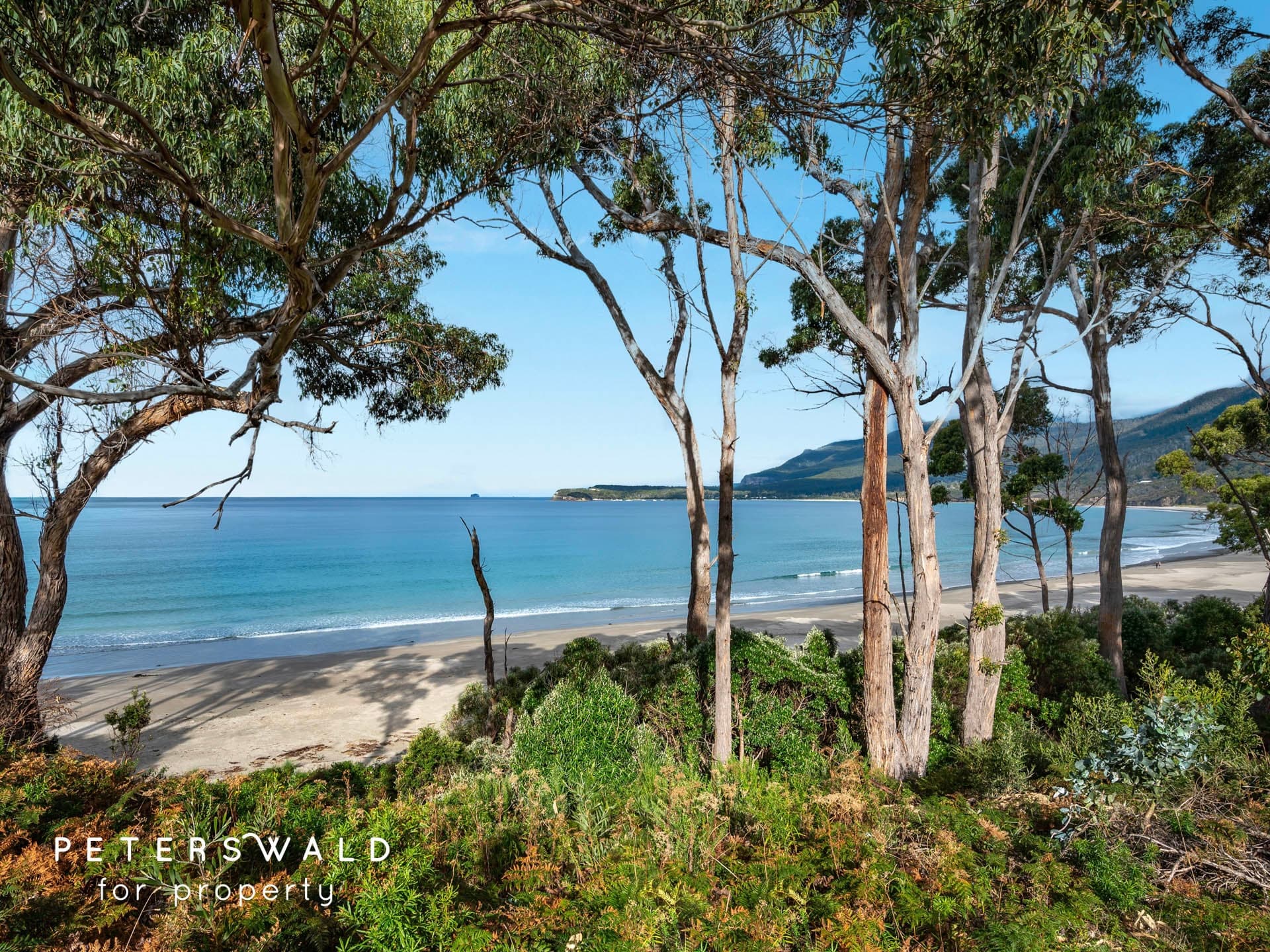 393 Pirates Bay Drive, Eaglehawk Neck TAS 7179, Eaglehawk Neck - Image 1