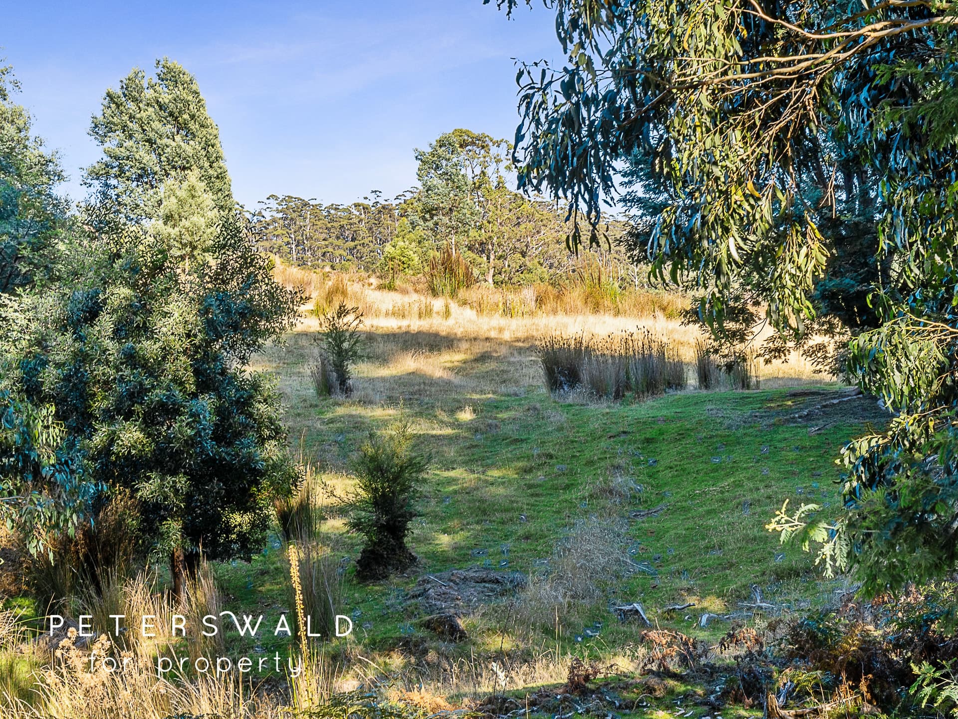 20 Behrens Road, Gordon TAS 7150, Gordon - Thumbnail 3
