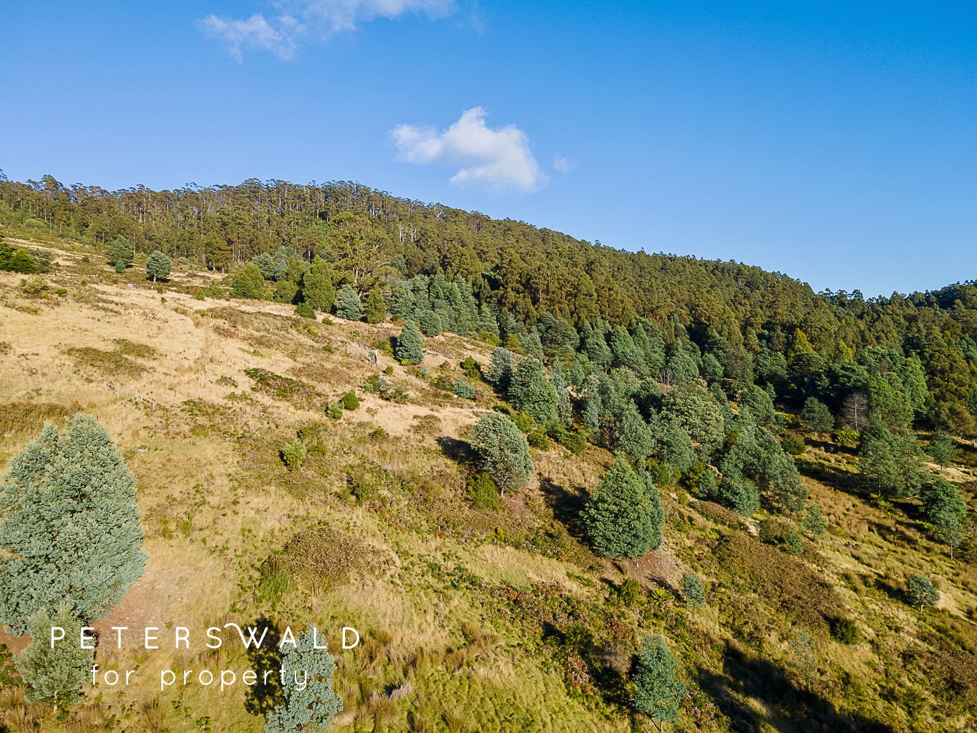 20 Behrens Road, Gordon TAS 7150, Gordon - Thumbnail 5