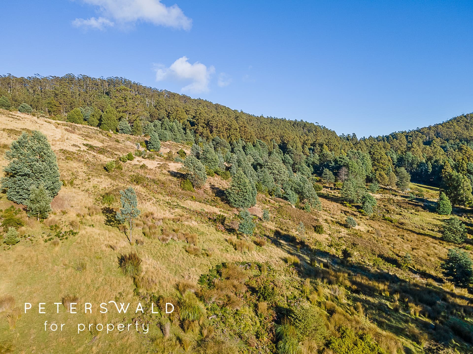20 Behrens Road, Gordon TAS 7150, Gordon - Thumbnail 6
