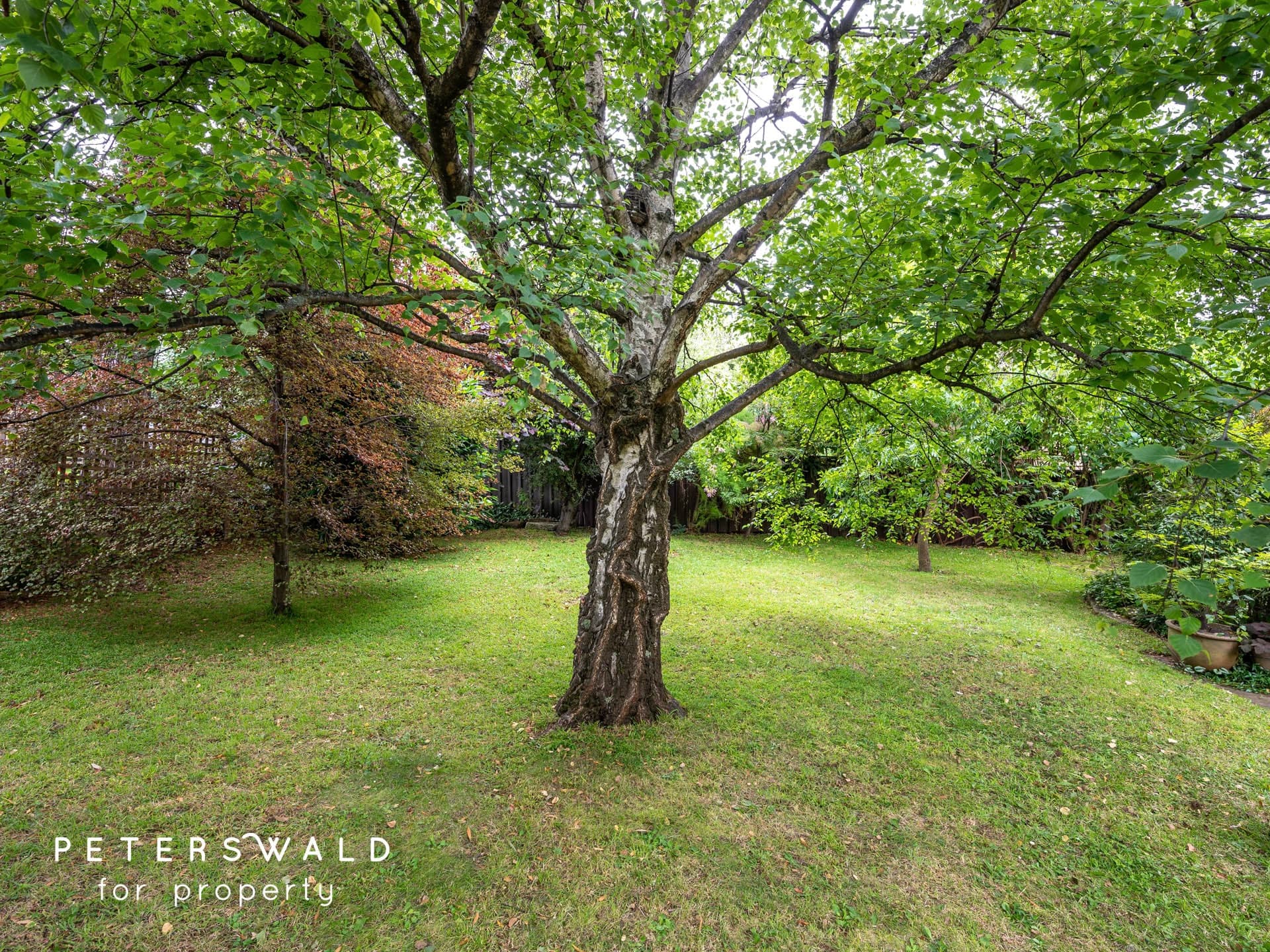 7 Pine Street, West Hobart TAS 7000, West Hobart - Thumbnail 2