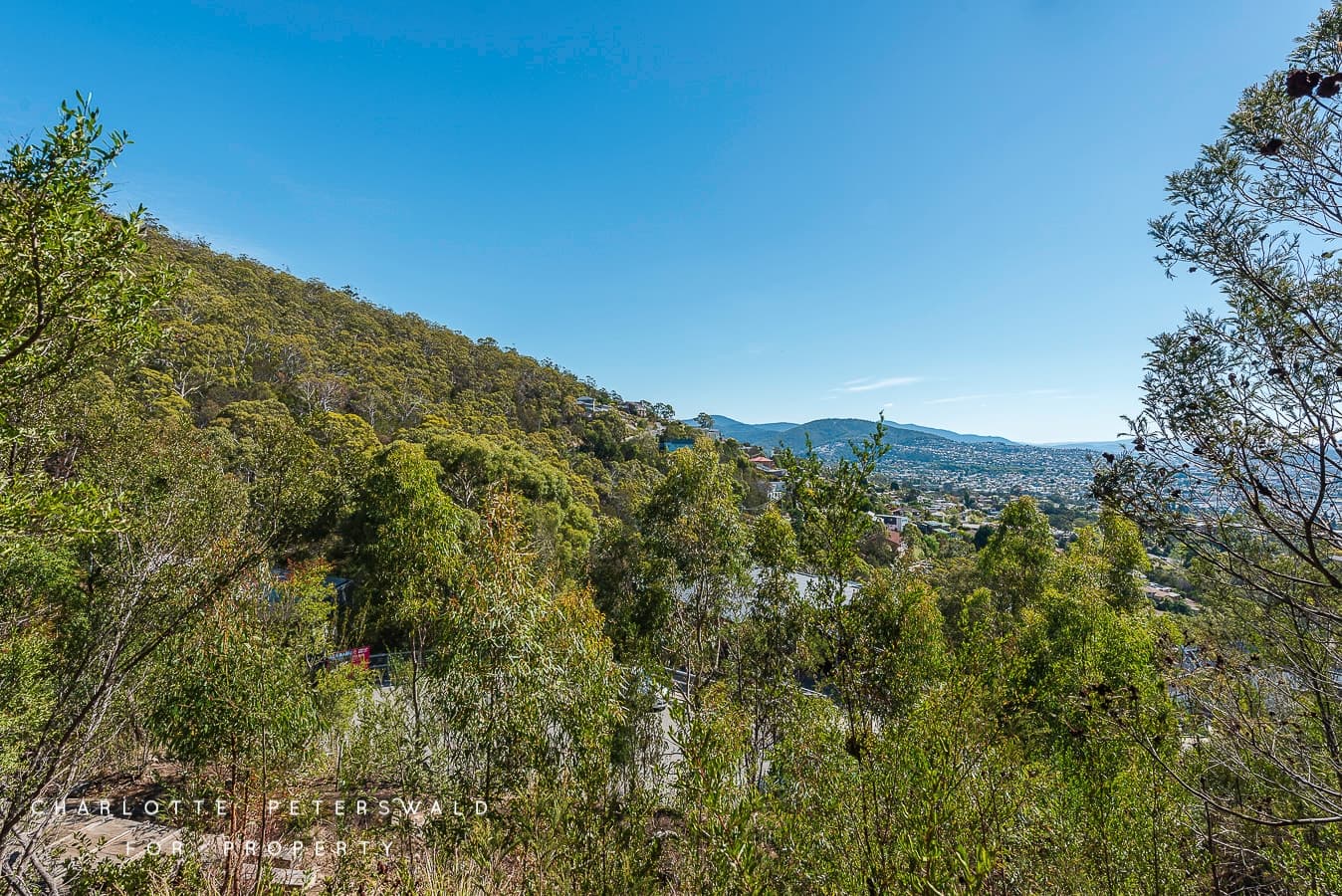 24 Aotea Road, Sandy Bay TAS 7005, Sandy Bay - Thumbnail 4