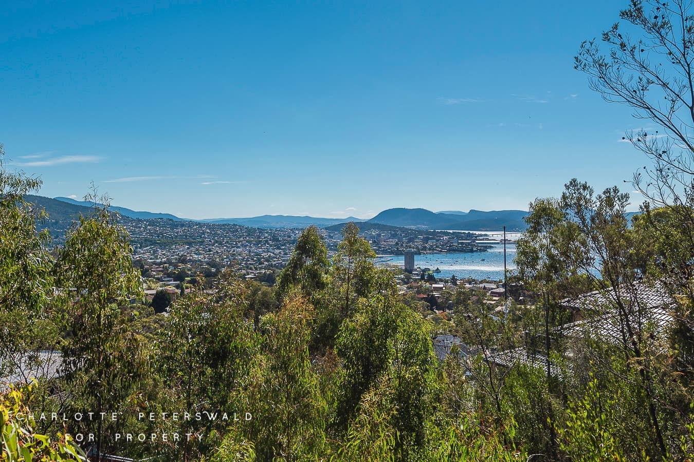 24 Aotea Road, Sandy Bay TAS 7005, Sandy Bay - Thumbnail 5