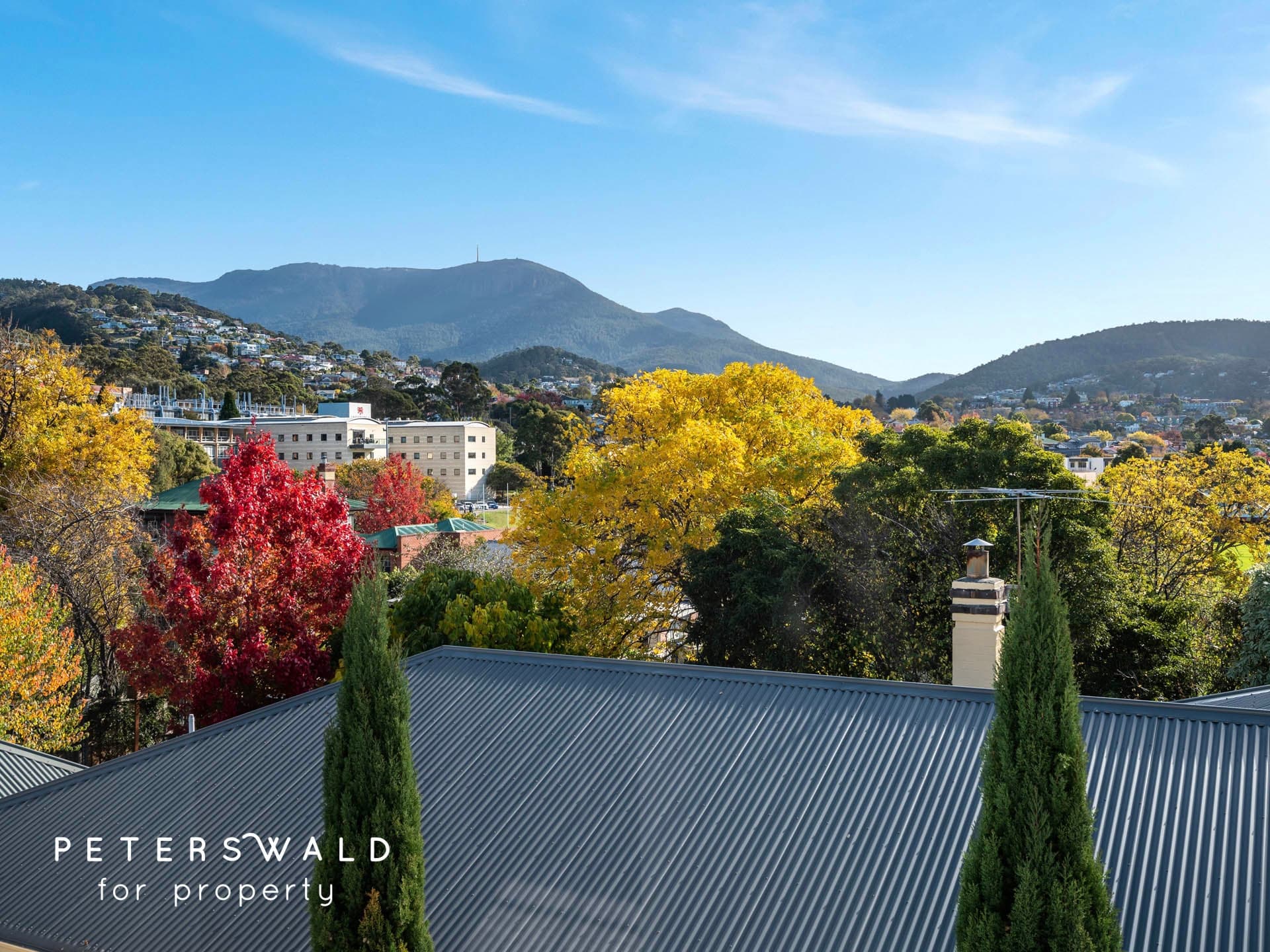 10 Quorn Street, Sandy Bay TAS 7005, Sandy Bay - Thumbnail 5