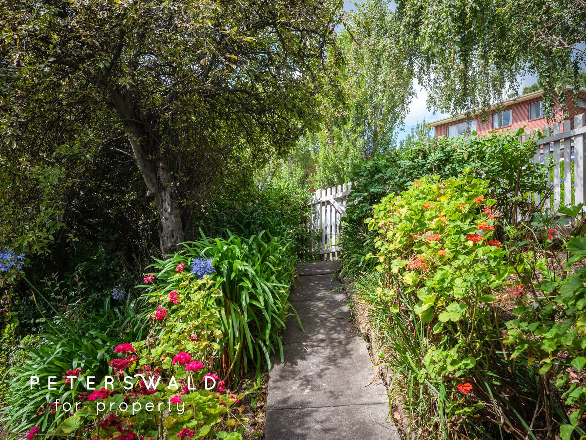 9 Wayne Avenue, Sandy Bay TAS 7005, Sandy Bay - Thumbnail 6
